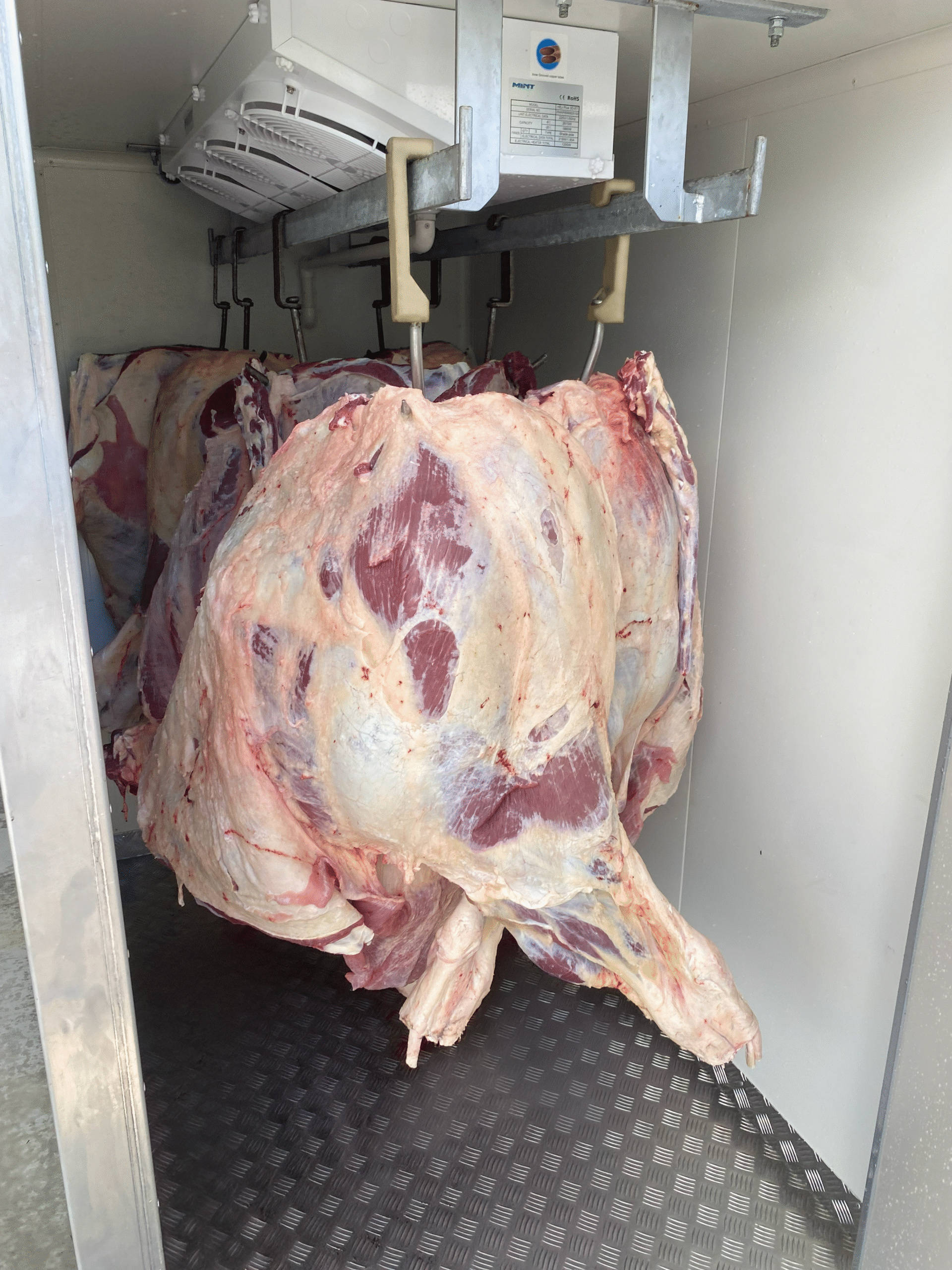 Large side of grassfed beef hanging in the butcher’s cooler at Ironbark Creek in Bundaberg