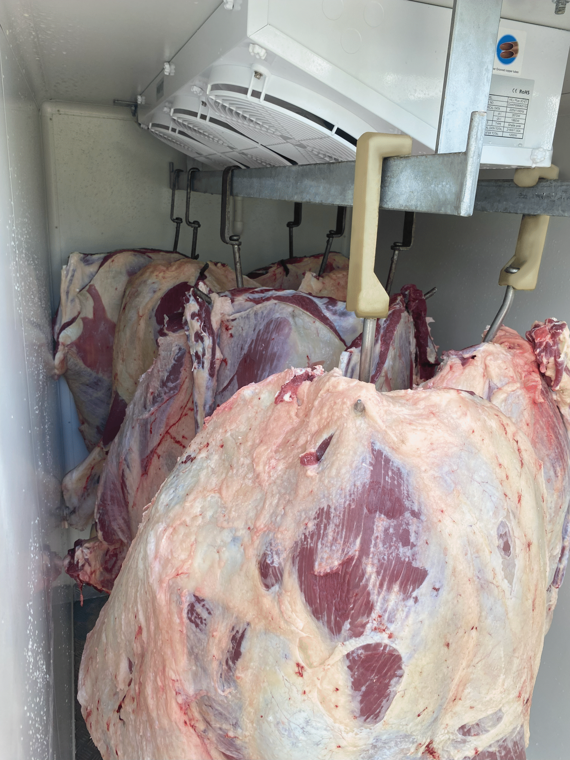 Full grassfed beef carcass hanging in a coolroom for aging at the Bundaberg processing site